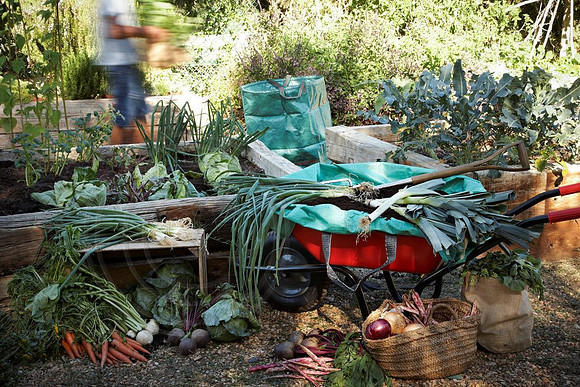 grow-your-own-1024x683