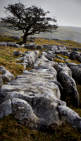 Yorkshire Dales