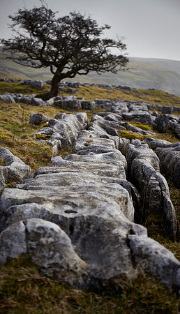 Yorkshire Dales