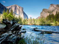 El Capitan from Yosemite Valley